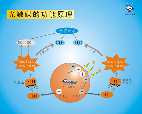 日照光触媒的功能原理